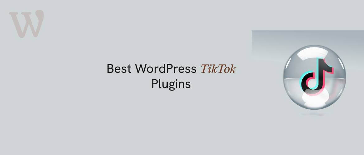 WordPress TikTok Plugins